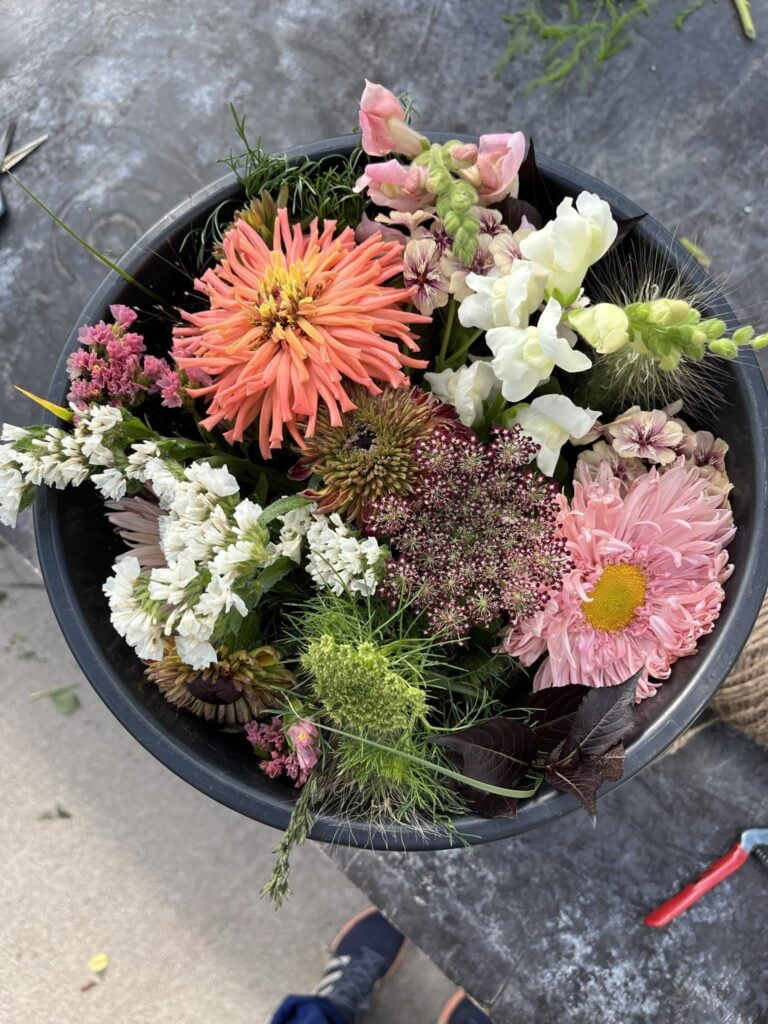 Workshop- Närodlade blomster