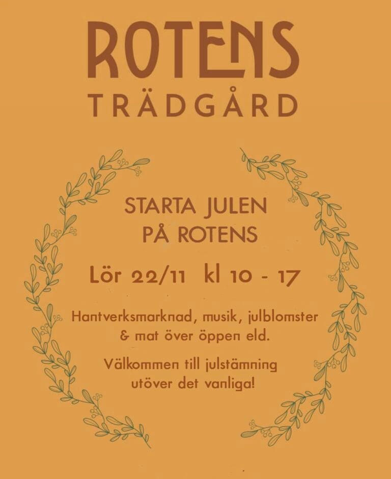 564616818_1379646480830500_1155105261771180284_n 564616818_1379646480830500_1155105261771180284_n